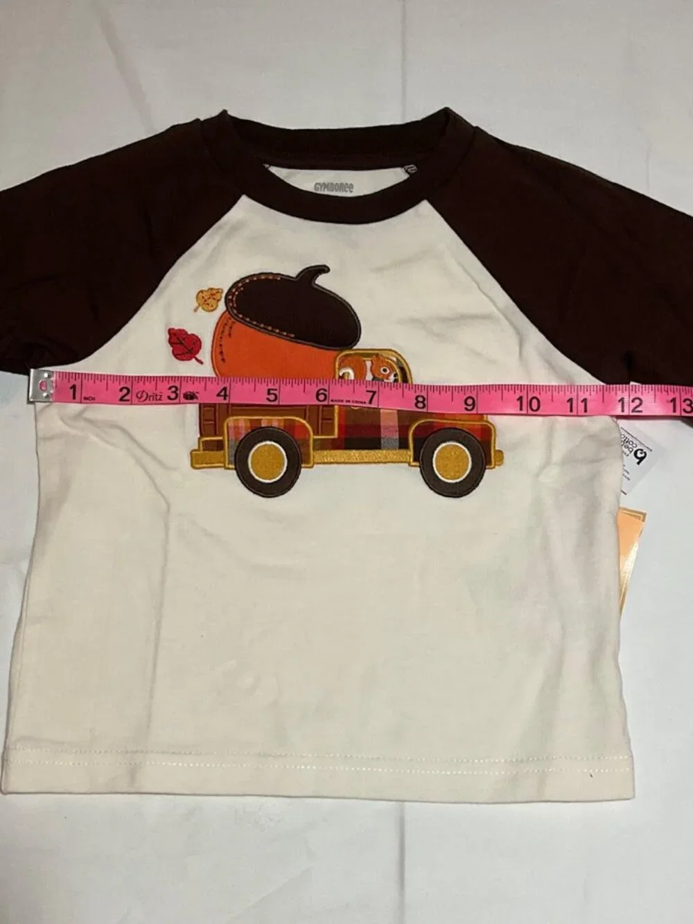 Gymboree Boys 12-18 Months Squirrel Acorn Truck Long Sleeve Raglan Top NWT